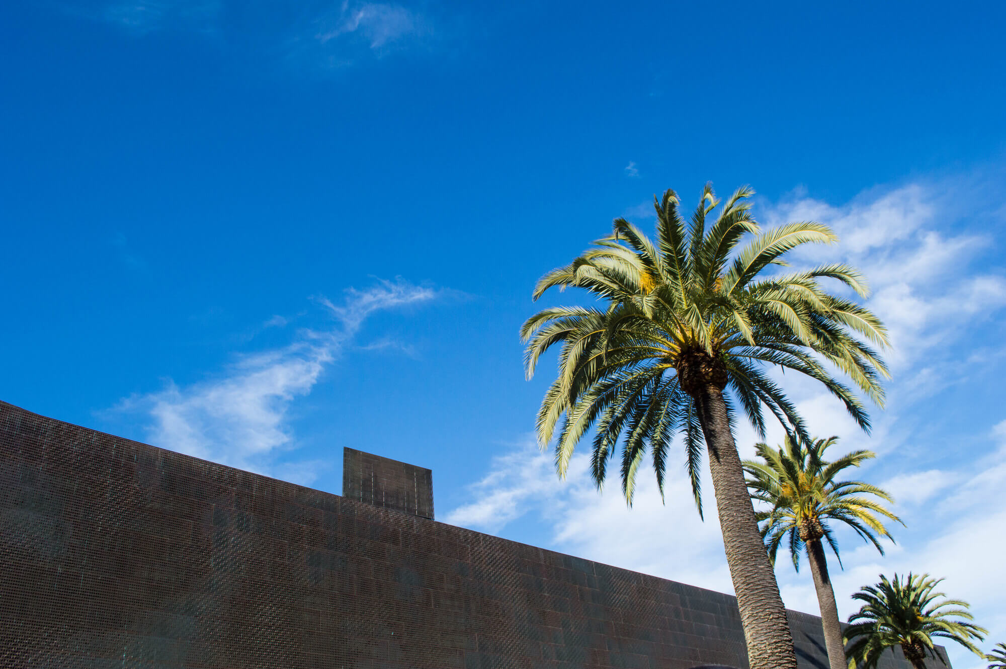 2 Very Different Museums in San Francisco: de Young Museum & Legion of Honor