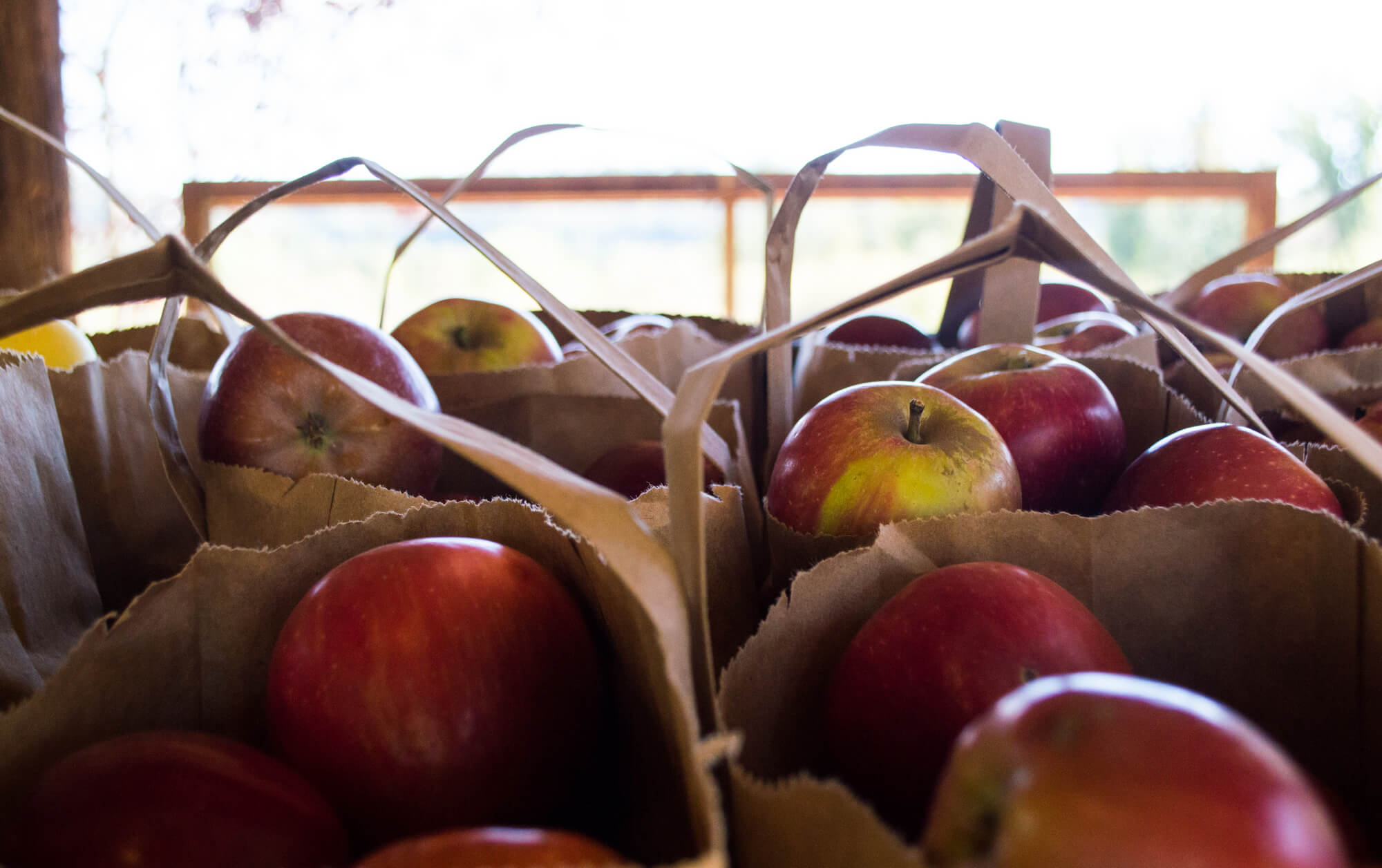 A Fall Day Trip to Apple Hill