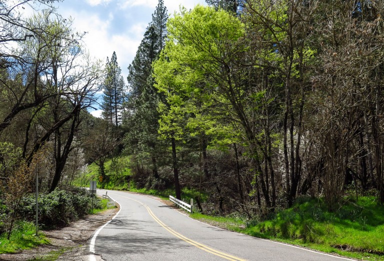 A Day Trip to the California Gold Country