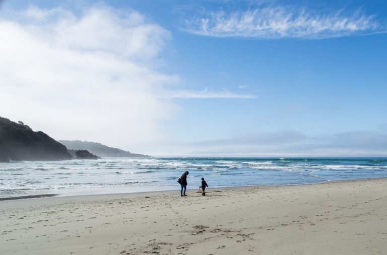 30 Things to Do in Northern California
