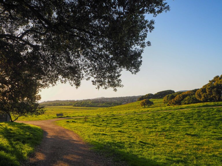 What to Do in Northern California in April